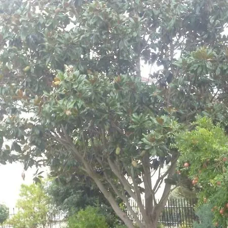 Appartement Dream House Nea Iraklitsa