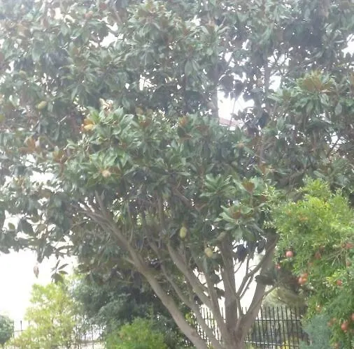 公寓 Dream House Nea Iraklitsa